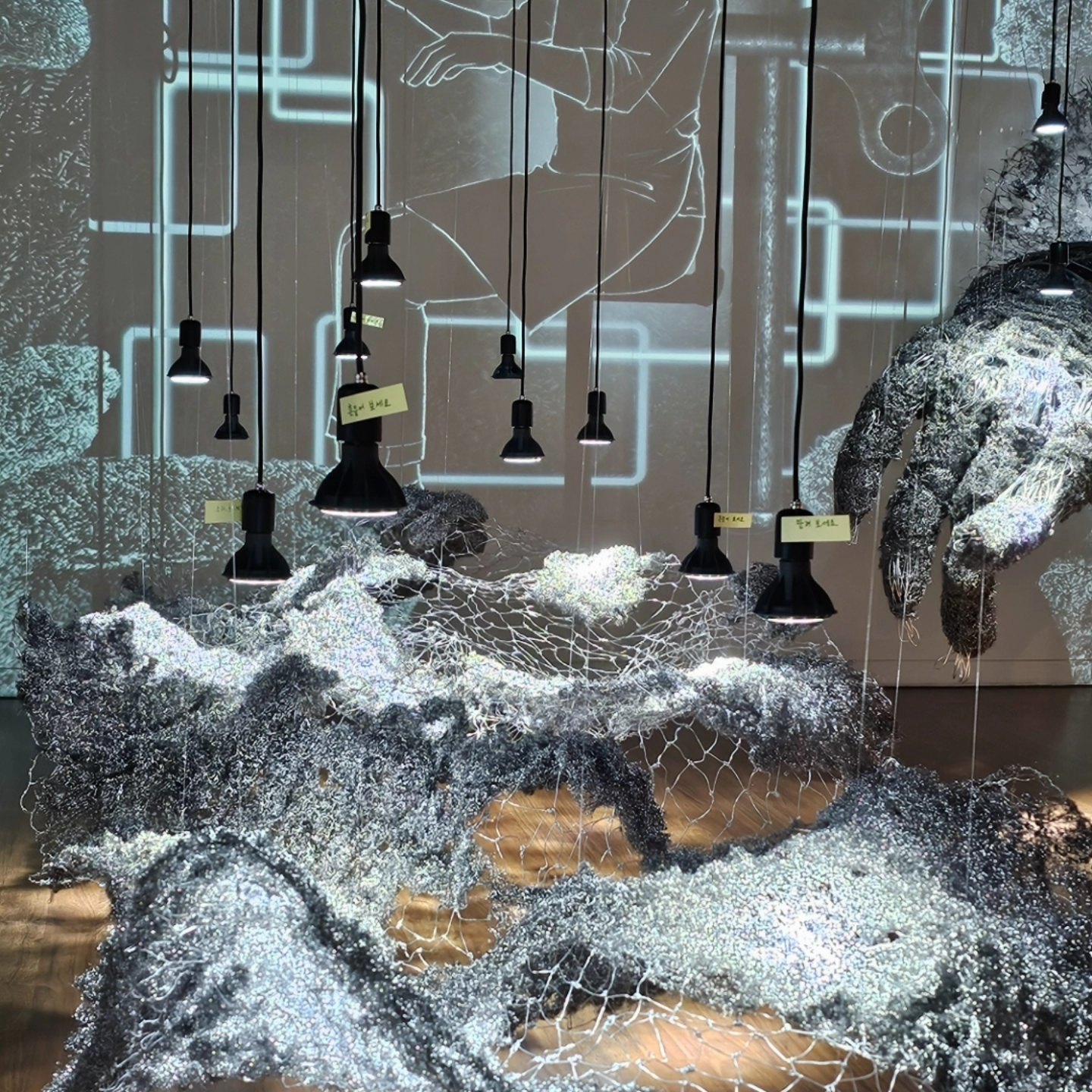 504381581_24296516969981683_7198752422605627592_n